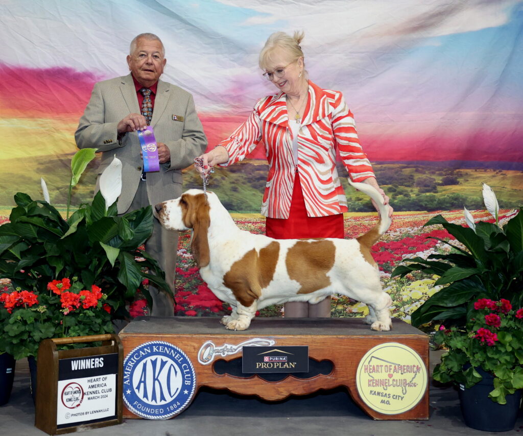 Champion/ Show News 2