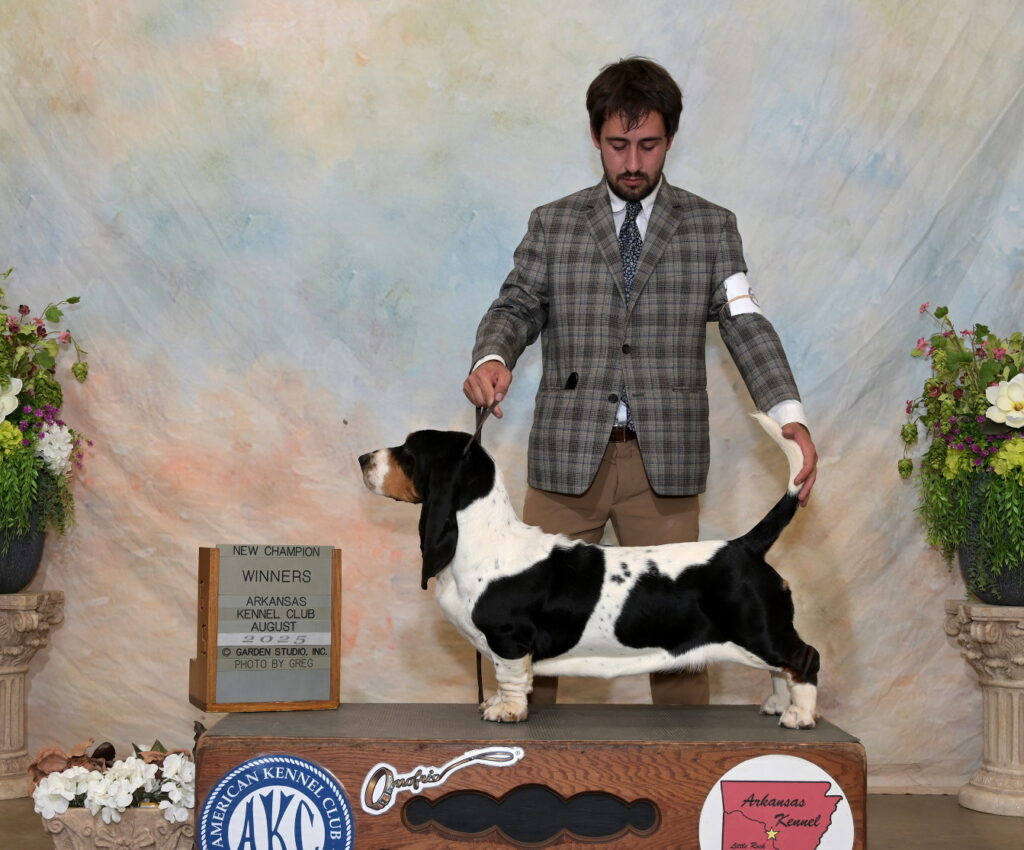 Champion/ Show News 6