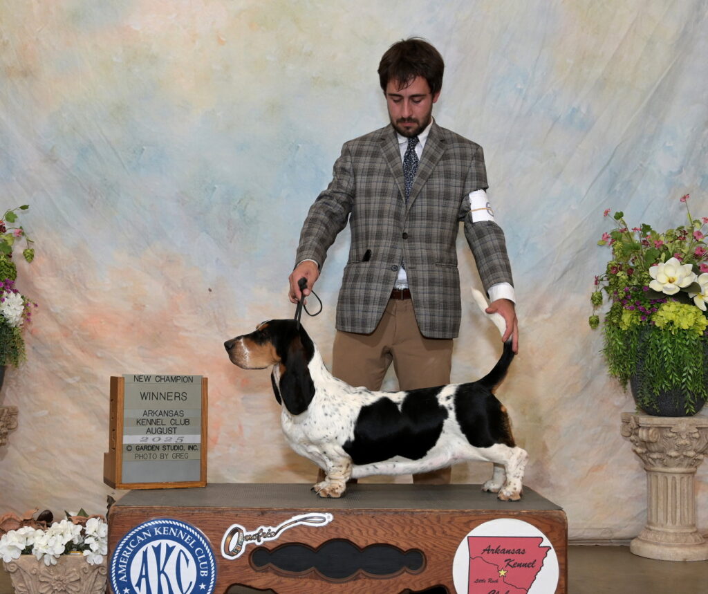 Champion/ Show News 7