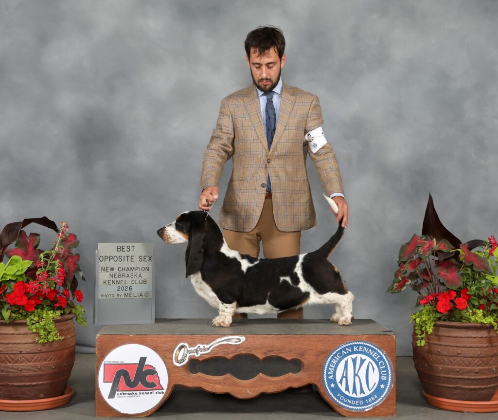 Champion/ Show News 14