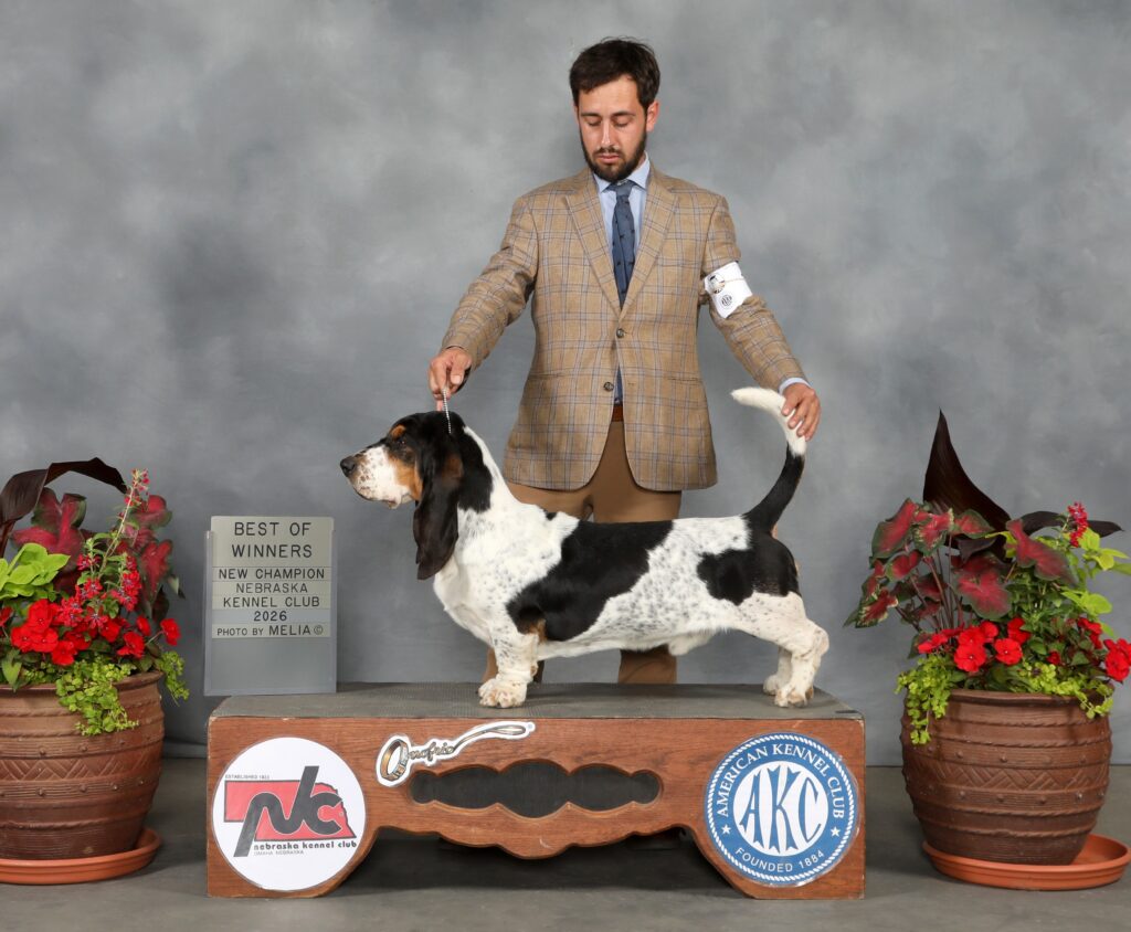 Champion/ Show News 15