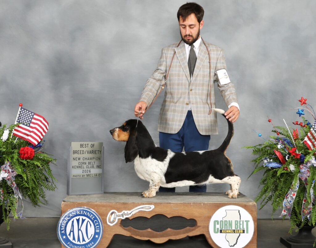 Champion/ Show News 16