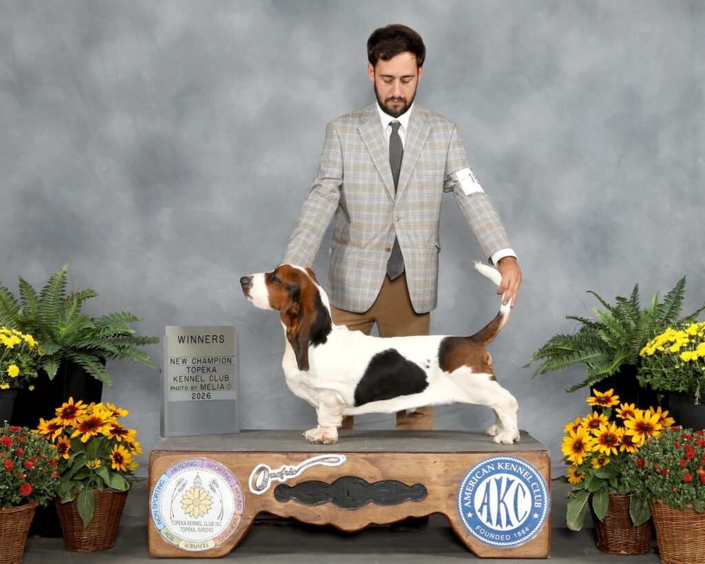 Champion/ Show News 16