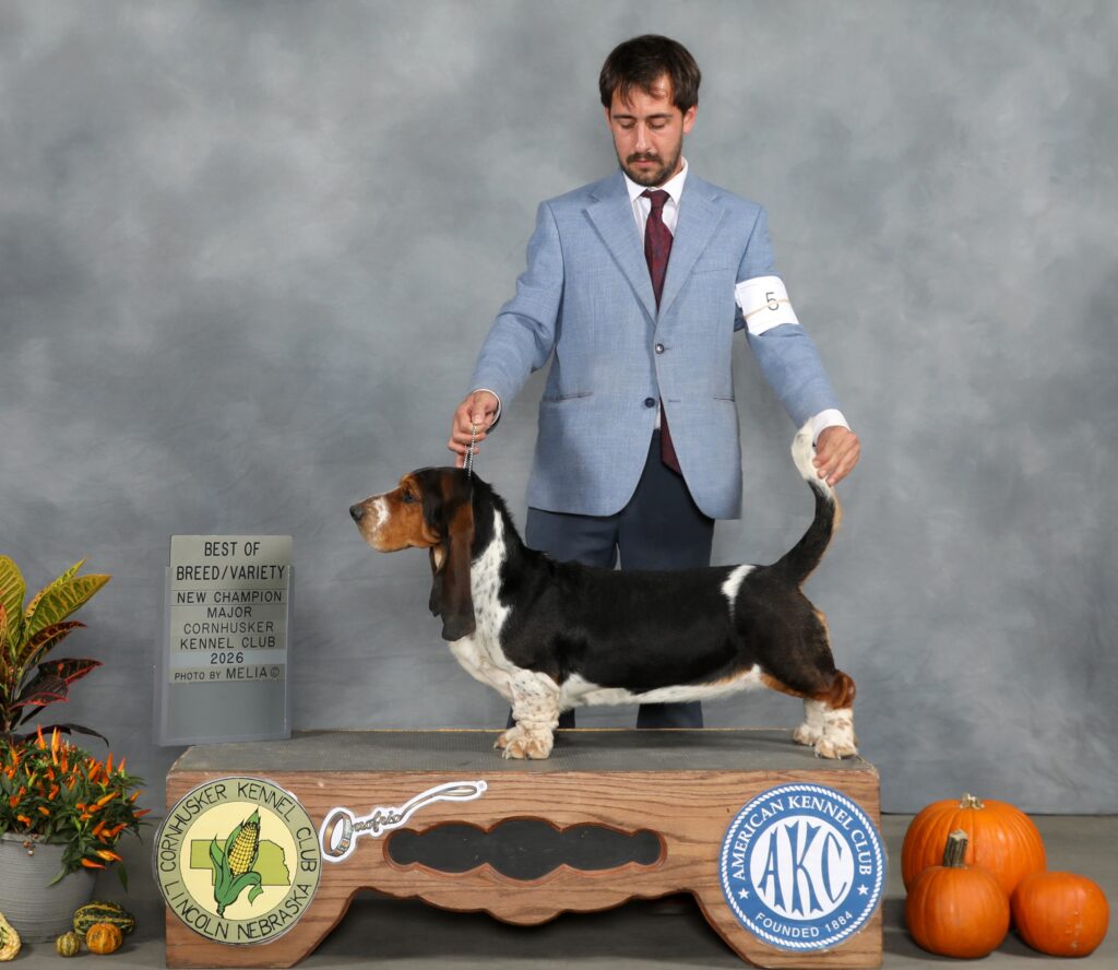 Champion/ Show News 21